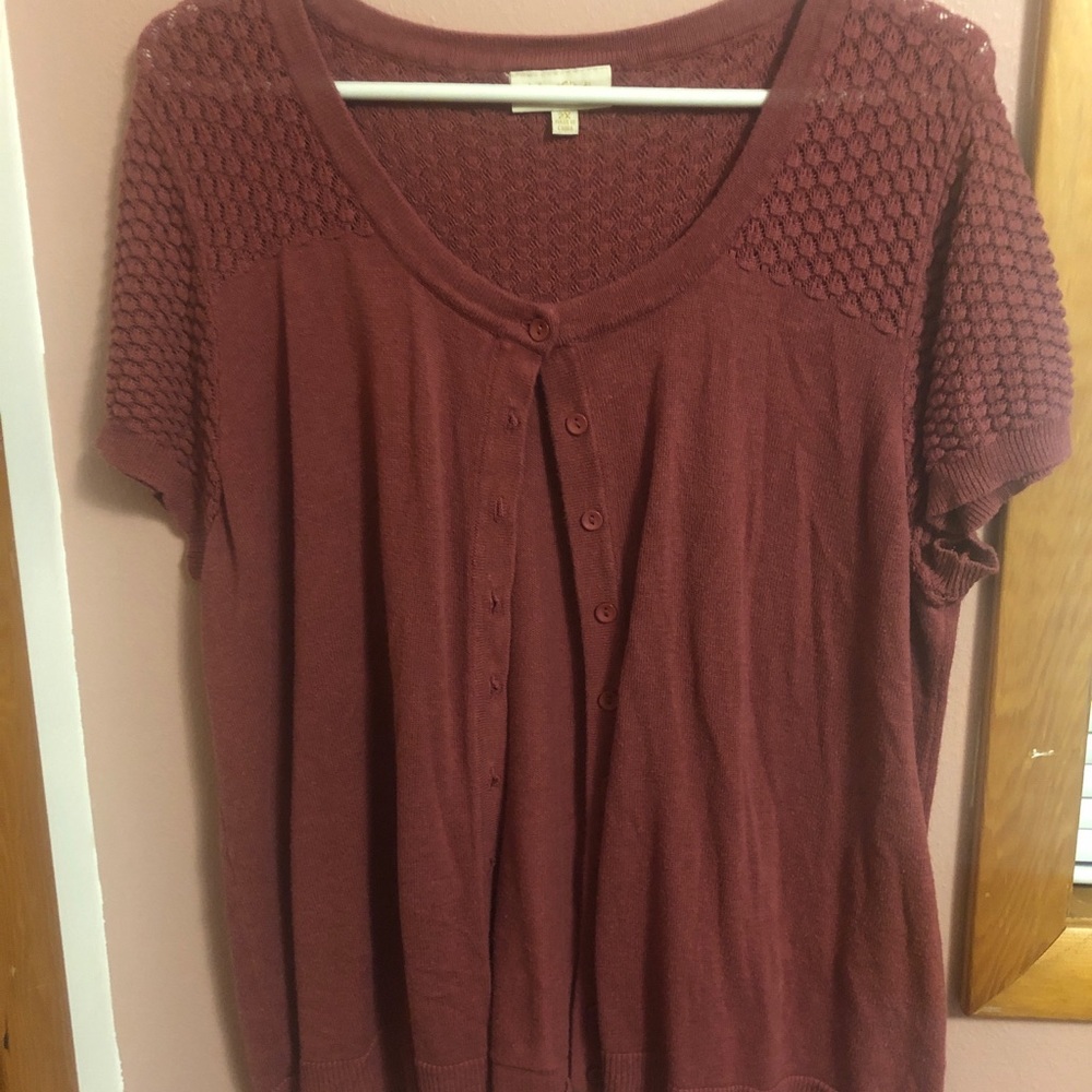 Mod Cloth Short Sleeve Cardigan